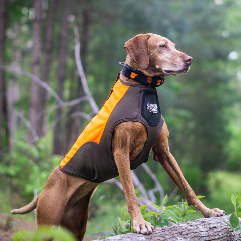 DOG GEAR